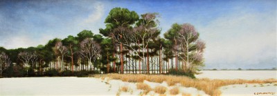 LOUIS S MCNALLY - in a row